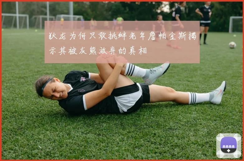 狄龙为何只敢挑衅老年詹帕金斯揭示其被灰熊放弃的真相