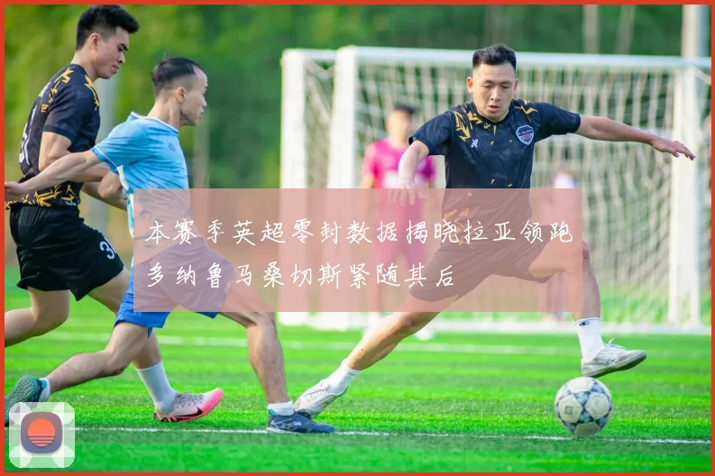 本赛季英超零封数据揭晓拉亚领跑多纳鲁马桑切斯紧随其后